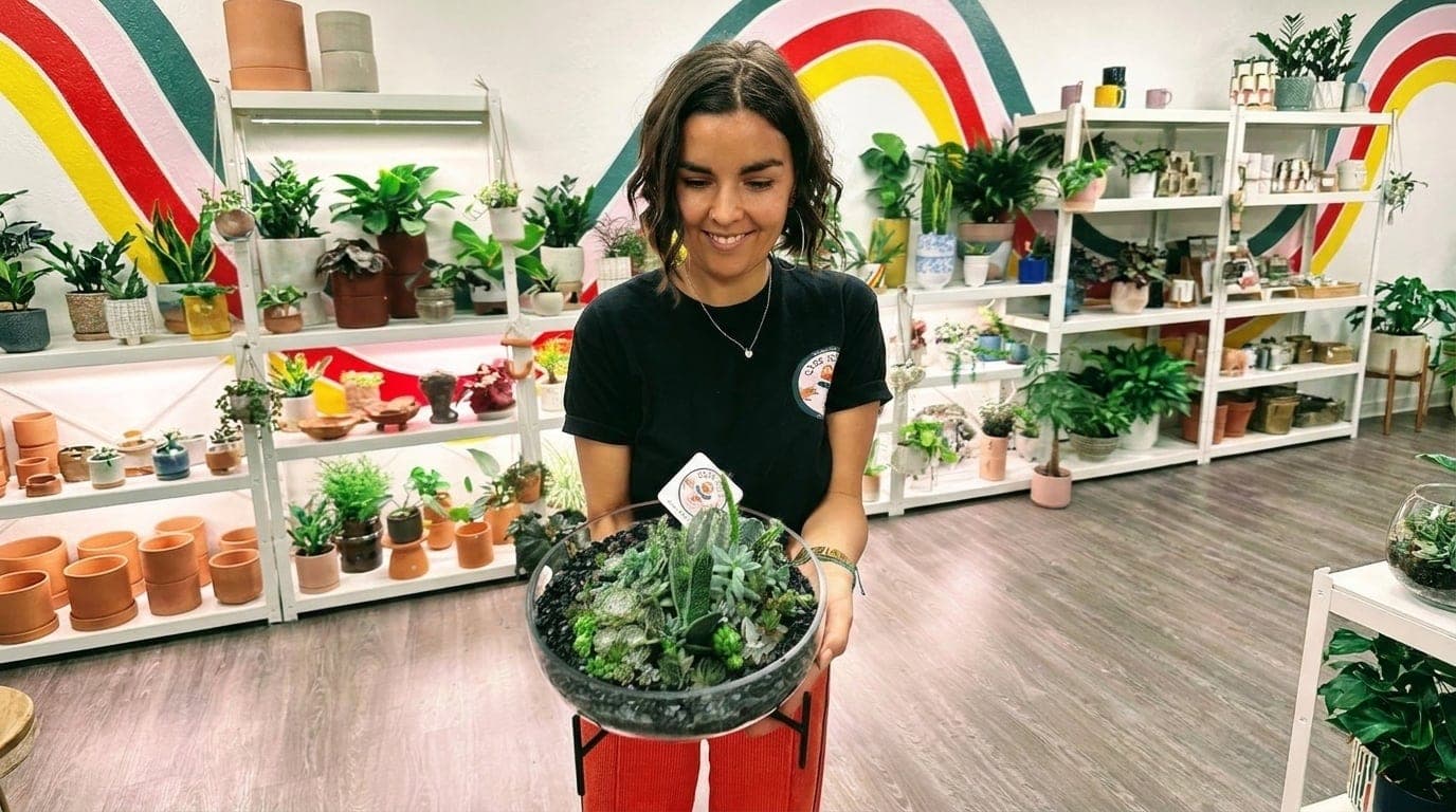 Custom succulent arrangement