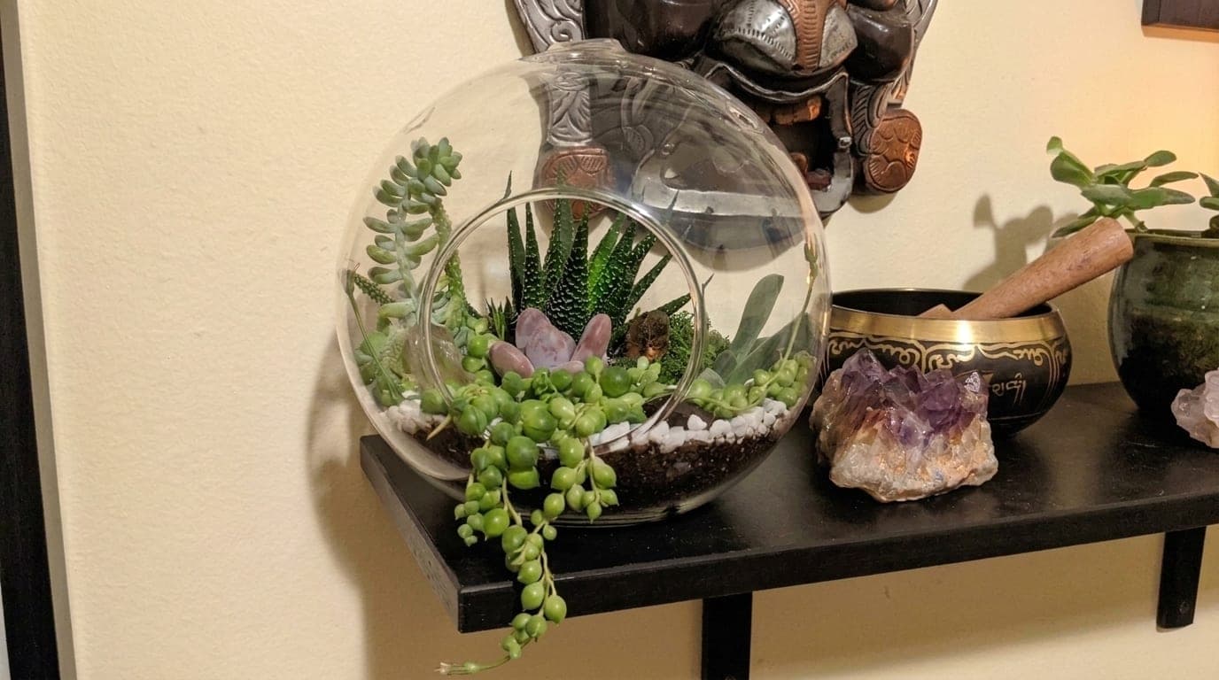 Custom terrarium