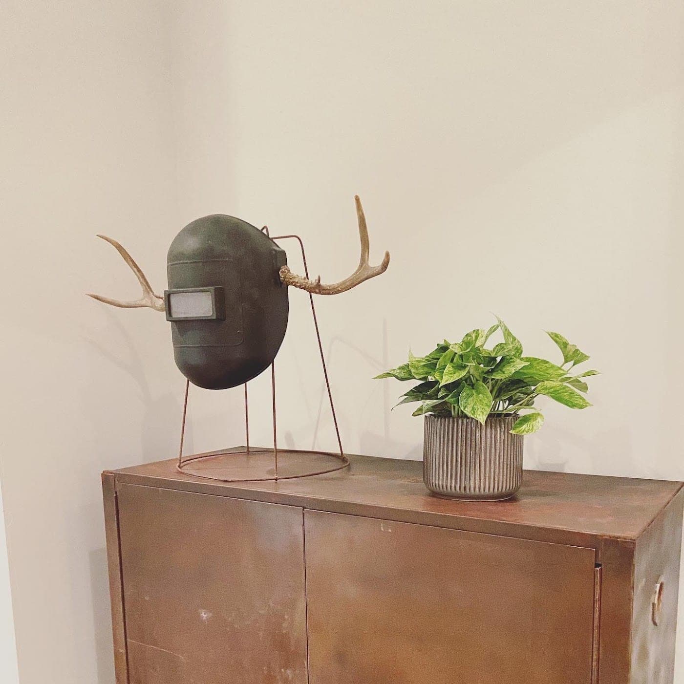Plant Styling