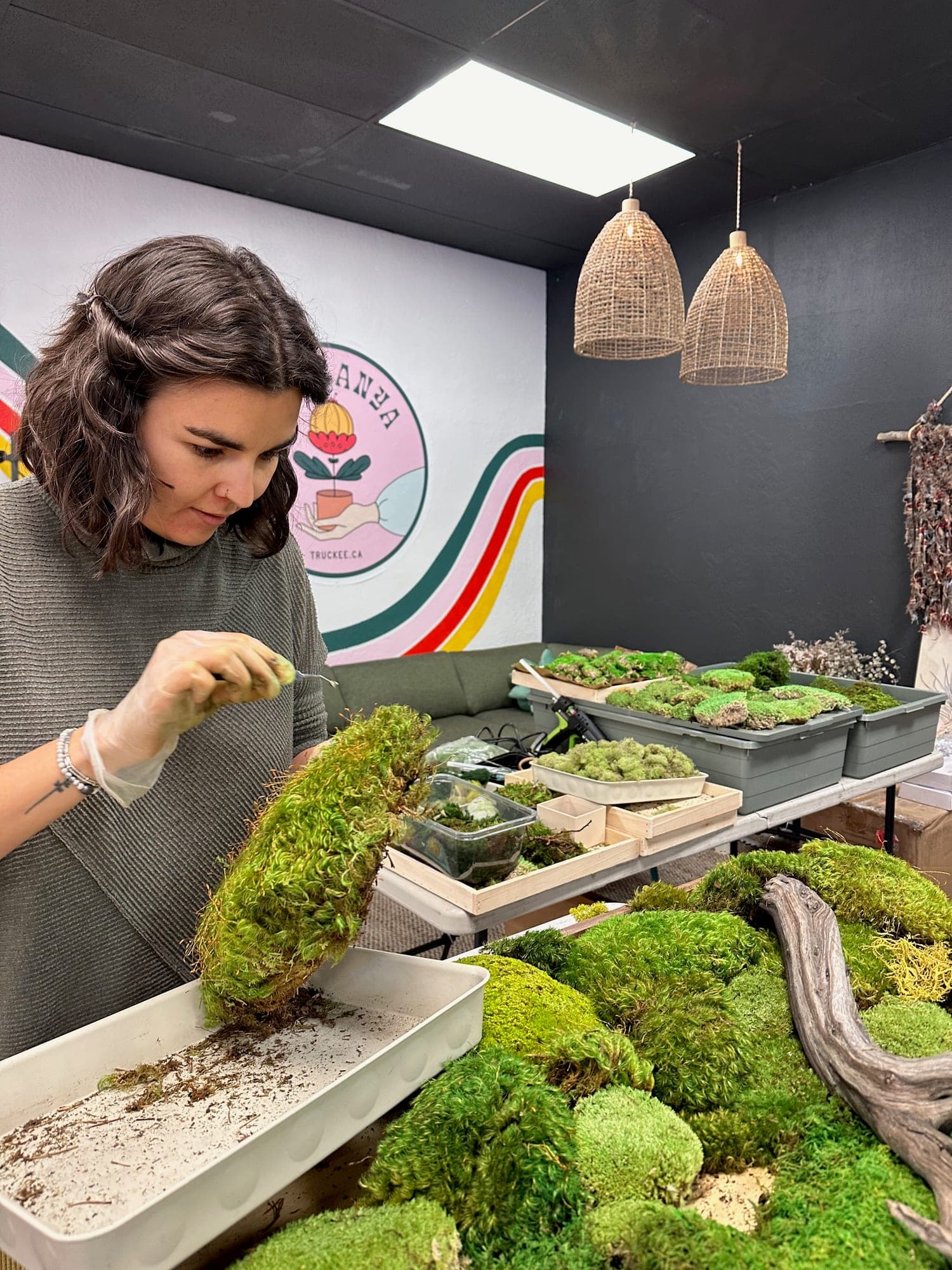 Moss art
