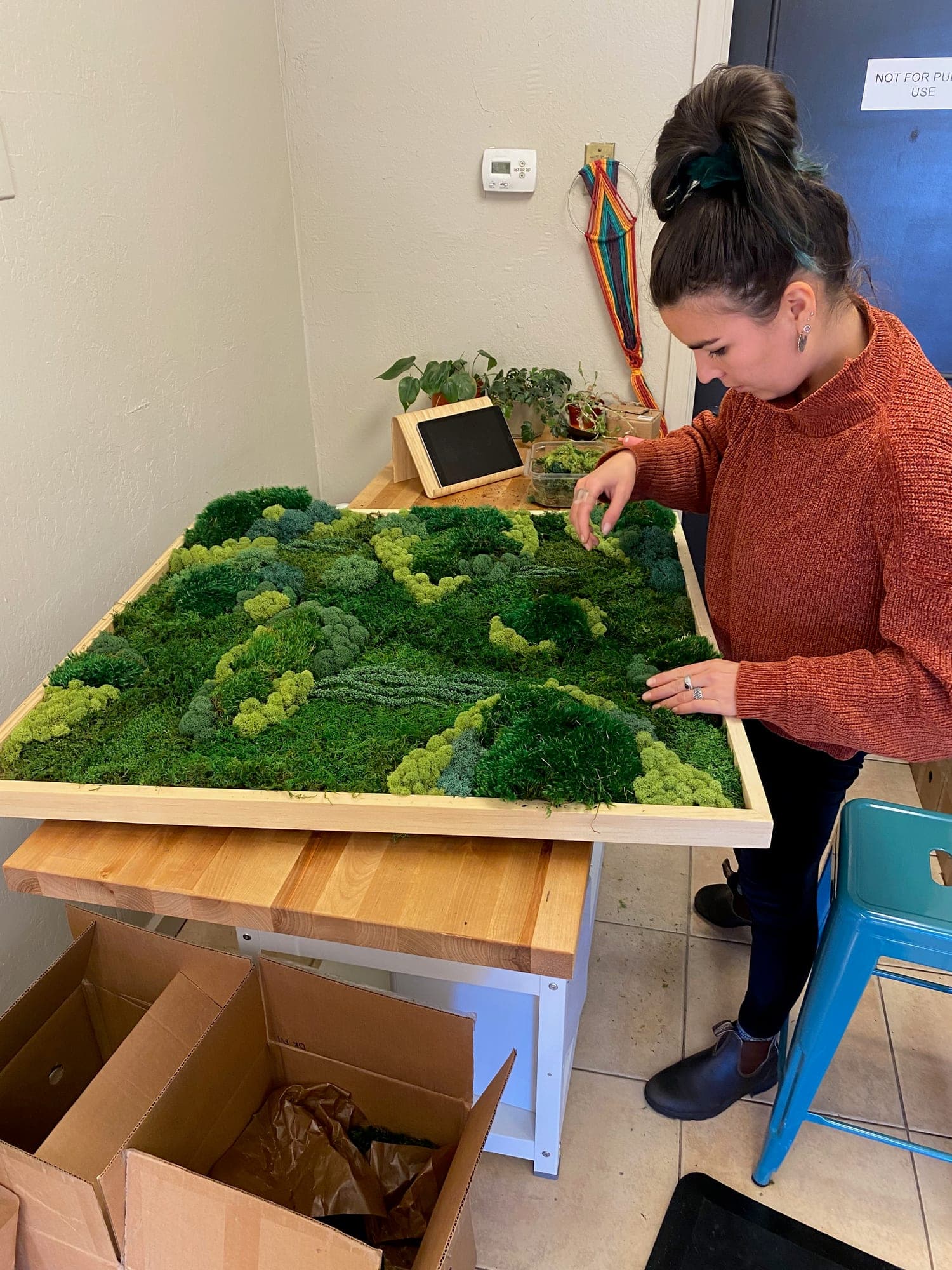Moss art