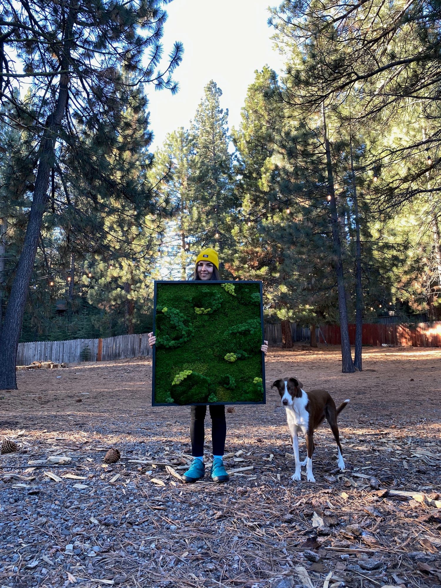 Moss art