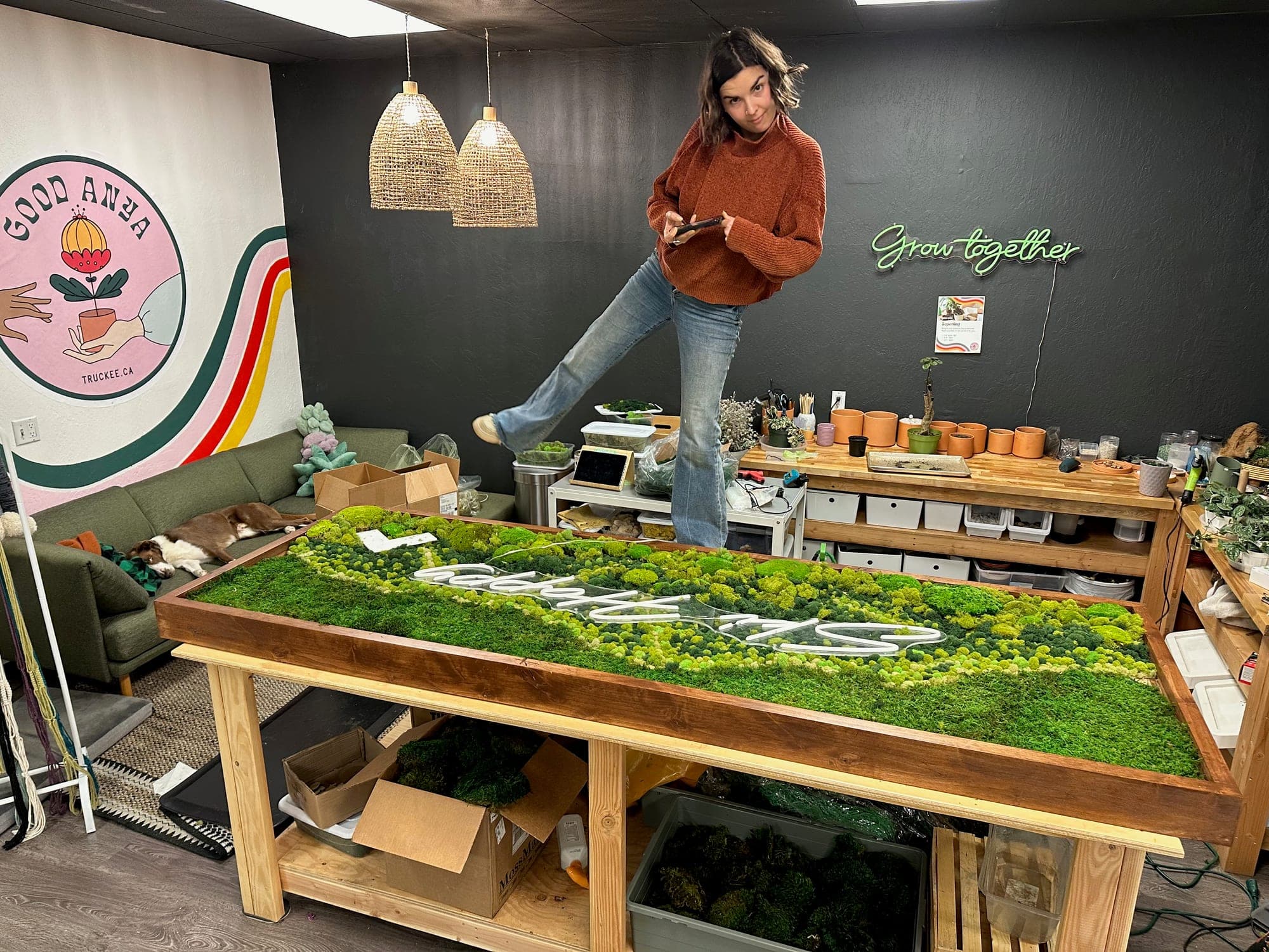 Good Anya project photo