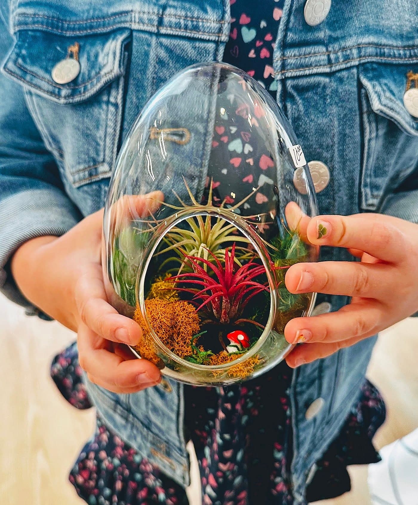 Terrarium workshop