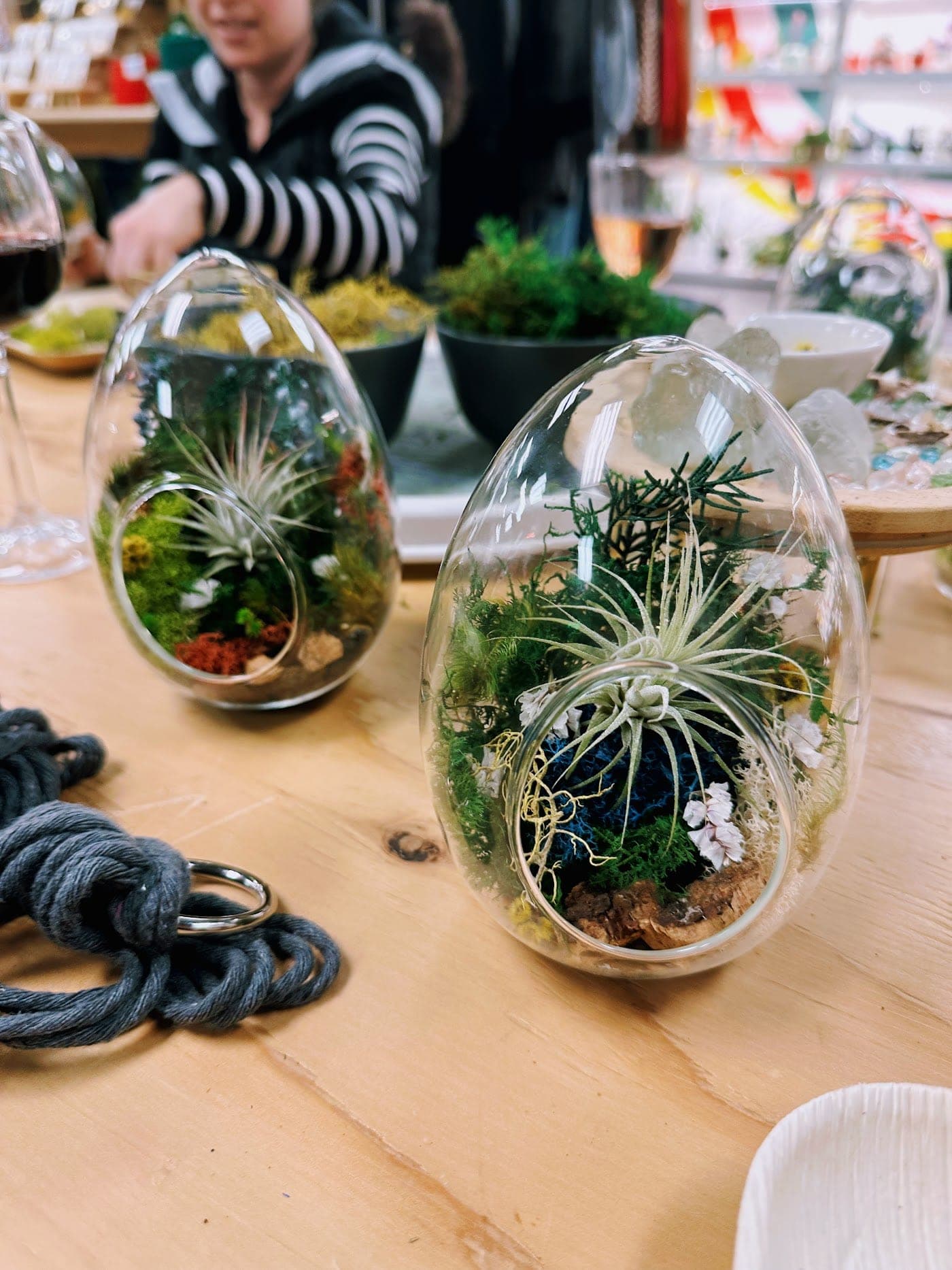 Terrarium workshop