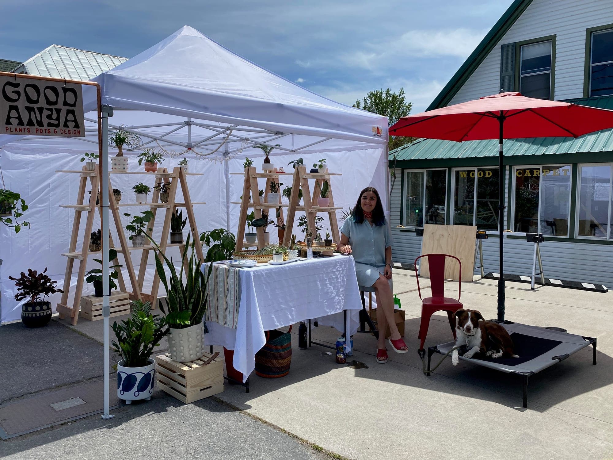 First Popup - 2020